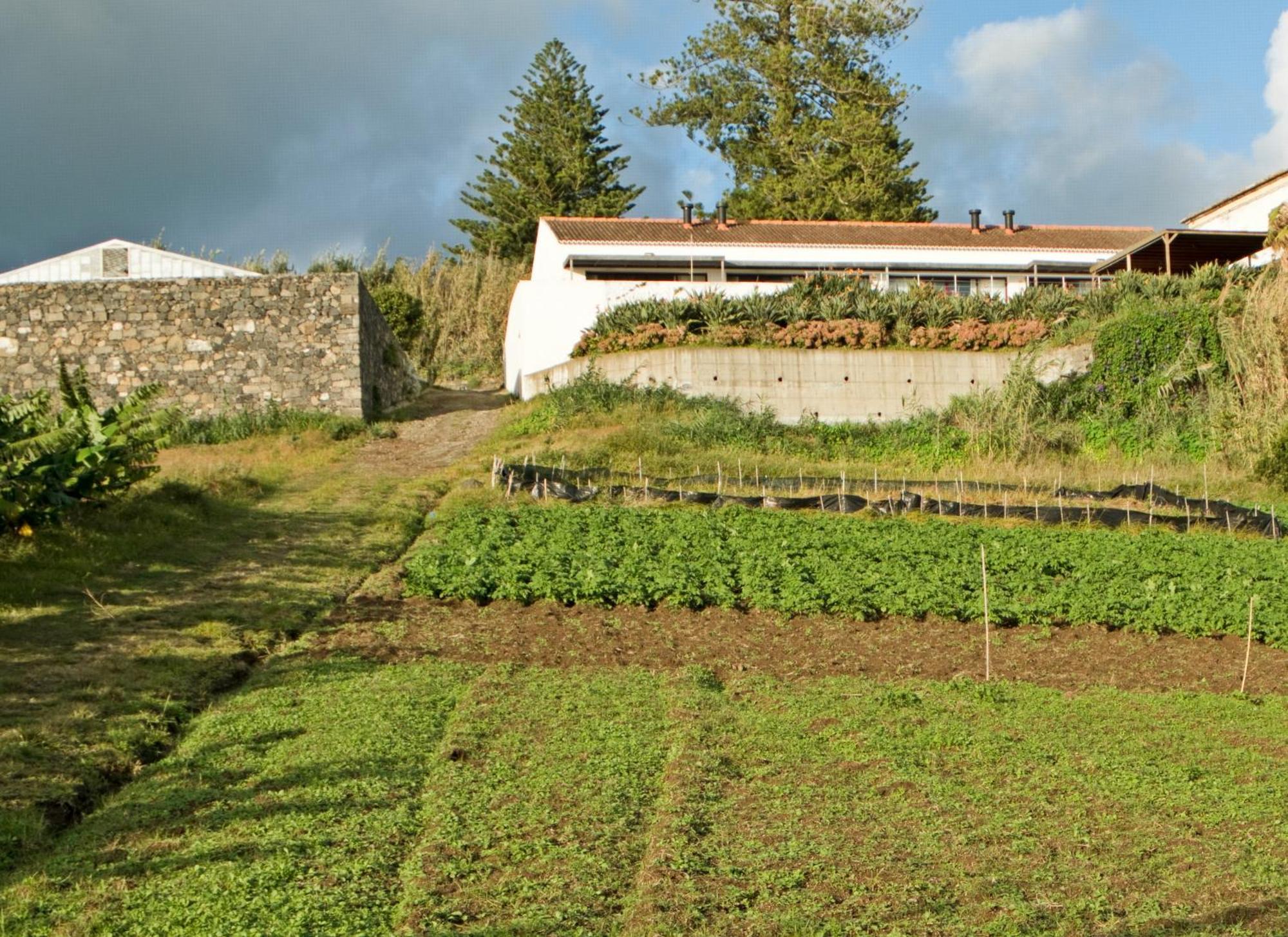 Qva - Quinta Velha Das Amoreiras Vila Franca do Campo Bagian luar foto